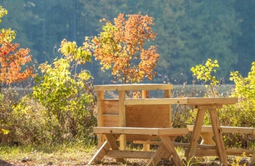 Morton RV Rental | Tentrr State Park Site - Mississippi Roosevelt State Park - Tall Trees G
