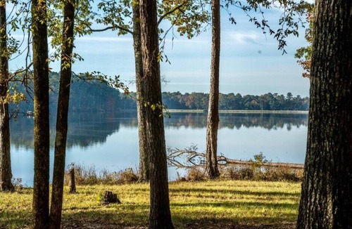 Morton RV Rental | Tentrr State Park Site - Mississippi Roosevelt State Park - Tall Trees B - Sing
