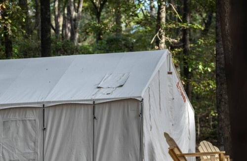 Morton RV Rental | Tentrr State Park Site - Mississippi Roosevelt State Park - Tall Trees B - Sing