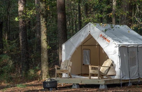 Morton Other | Tentrr State Park Site - Mississippi Roosevelt State Park - Tall Trees D - Single Camp