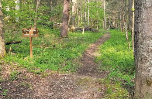 Swanton RV Rental | Tentrr State Park Site - Big Run State Park - Site E