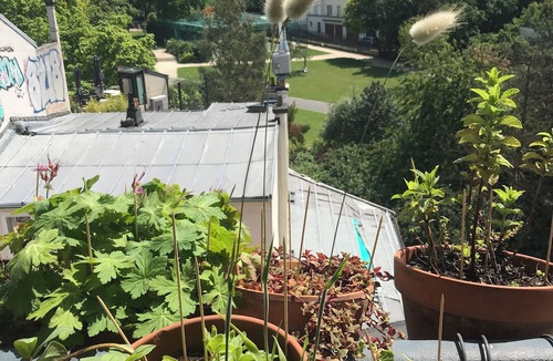 Belleville Apartment | The Eagle's Nest