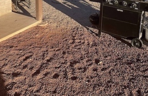 Meadview House | The Hideaway - Desert Glamping