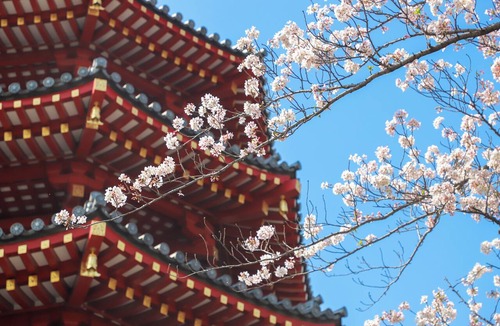 Tonomachi Hotel | The HOTEL Well-hub Haneda (Formerly: Kawasaki King Skyfront Tokyu REI Hotel)