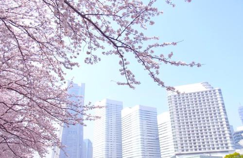 Yokohama City Centre Hotel | The Yokohama Bay Hotel Tokyu
