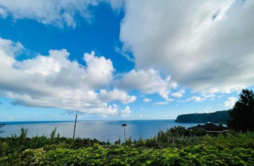 Hachijo House | Tiny Camp House Kurage - Vacation STAY 66334v