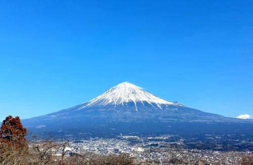 Kofu Hotel | Tokiwa Hotel