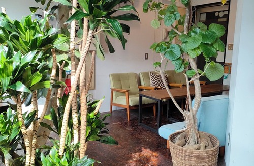 Kita Hostel | Tokyo Guest House Ouji Music Lounge - Hostel