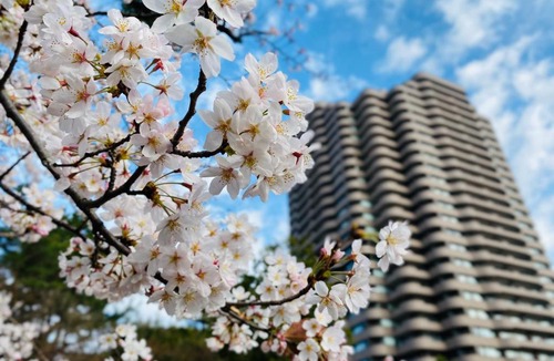 Shinagawa Hotel | Tokyo Marriott Hotel