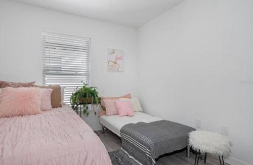 Sulphur Springs Apartment | Trendy 2 bed 2 bath Heart of Tampa Unit B