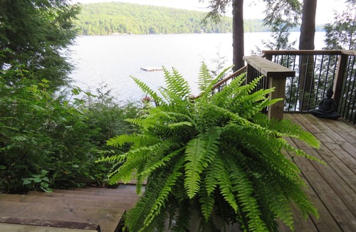 Algonquin Highlands Cottage | True Northern Tranquility - Cottage in Algonquin Highlands