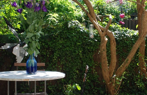 Amerique House | Une Maison à Paris Avec son Jardin!
