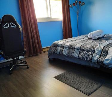Guelph House | Urban & Cozy