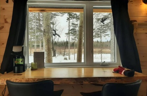 Golden Lake Cabin | Very Private, Secluded, Nature, Pet Friendly, NO NEIGHBOURS -Red Pine cabin