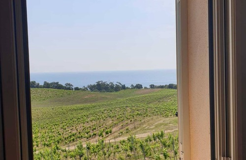 Solenzara Villa | Villa 62m² AU Coeur DES Vignes Face MER Piscine Partagee Chauffee