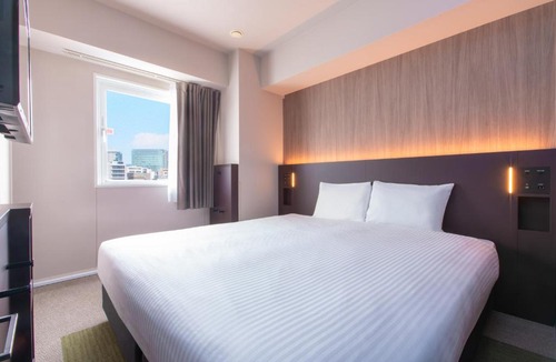 Nishikanda Hotel | Villa Fontaine Tokyo Kudanshita