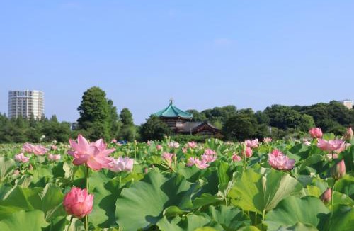 Katsushika Villa | Villa Katsushikaお花茶屋駅徒歩10分