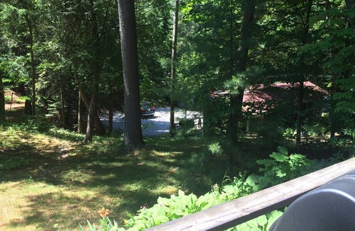 Tiny Cabin | walk to private beach across the street -2BR Cozy Forest Cabin -amazing sunsets