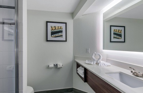 Tropic Hotel | Wildlife, Beaches, Nearby | Enjoy Comfort, Poolside And Highway Access | 2 units