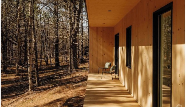 100ft of Forest Light - Modern Catskills Escape