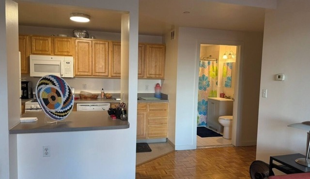 2-bedroom condo with AC in gorgeous New York - Harlem Welcome!
