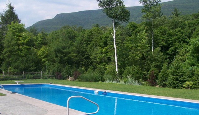 5 bedroom home, mountain views10 Acres, 65' swimming pool,separate pool house