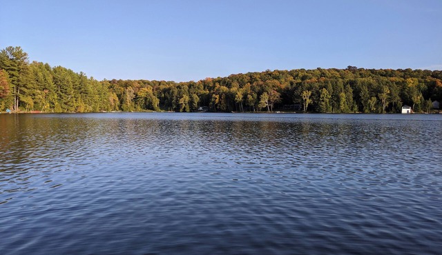 A Tory Lake Treasure in Haliburton County - Lake front cottage