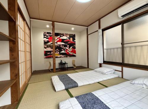 Akihabara, Skytree, Disney, Asakusa Temple, Traditional Japanese Ryokan, Airport Pick-up and Drop-off