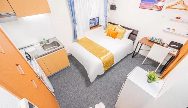 Akihabara Skytree Premium Apartment 102
