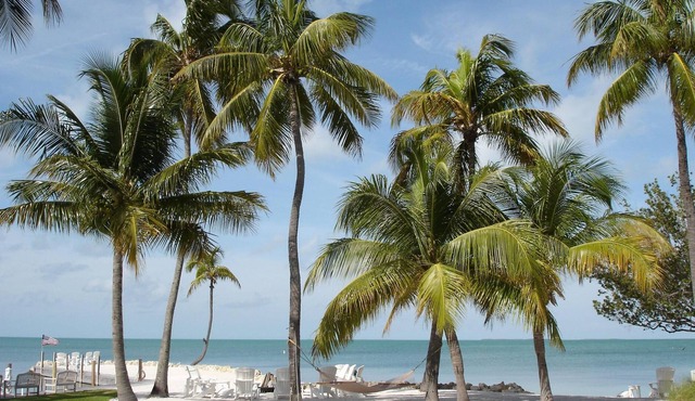 Bayside Paradise: Beach, Heated Pool, Spa, Boat Ramp, Dockage, and Tennis Court