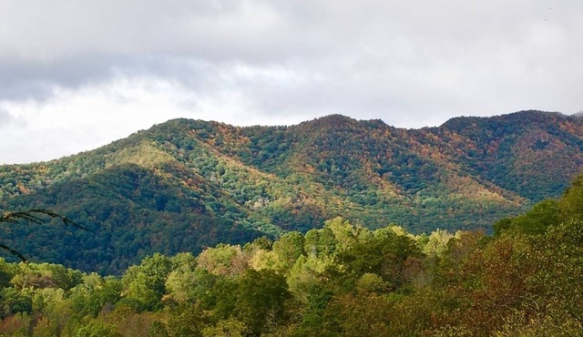 Bear Minimum - Tiny Home with Cold Mountain Views in Canton