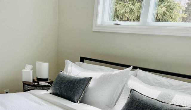 Beautifully Renovated Single Level Executive Oasis