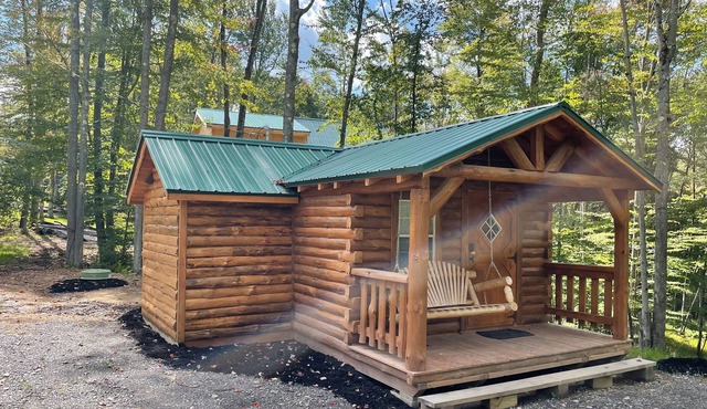 Benezette, 1b ,1b cabin. Minutes from the Elk center.