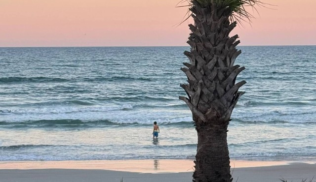 Beverly's Place 1 – Pet Friendly Ocean Front Apt