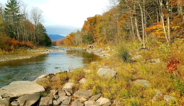 Black Bear Lodge