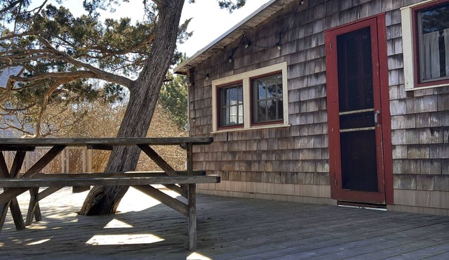 Bohemian Cottage - Steps from ocean and bay