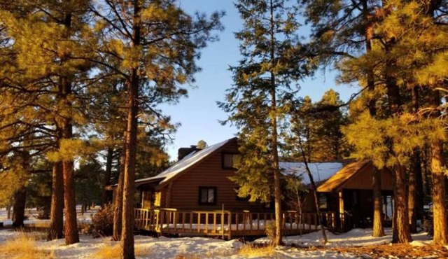 Cabin Escape surrounded by ponderosa pine trees and beautiful mountains.
