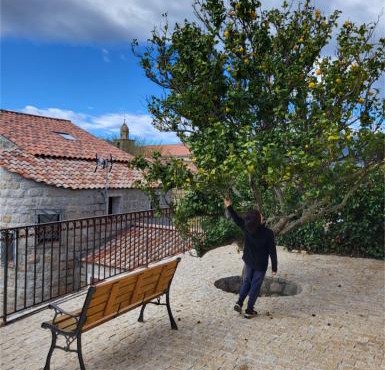 Casa Pitrina, Viggianello
