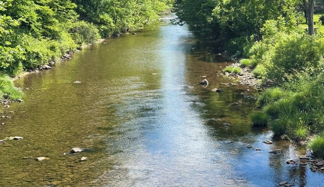 Charming 4-bedroom cabin in Morris perfect for relaxing getaways by the creek