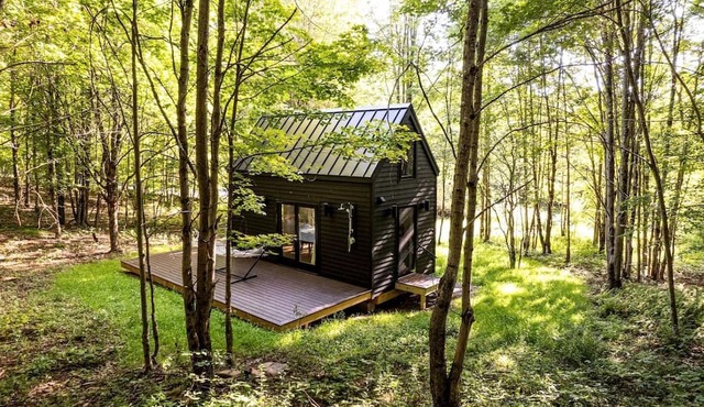 Charming Minimalist Hideaway for Rest & Reconnection in Bloomville, New York
