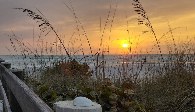 Coastal Luxury: Fully Renovated Family Friendly Island Escape!