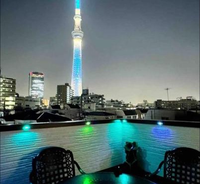Colorful House SKY TREE