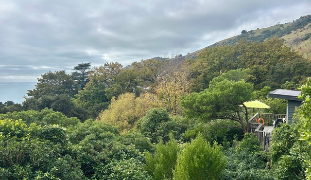 Cosy cabin style bach, immersed in native bush, in beautiful Banks Peninsula