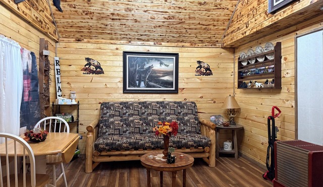 Cozy cabin Close to Cherry Springs and Pa Grand Canyon