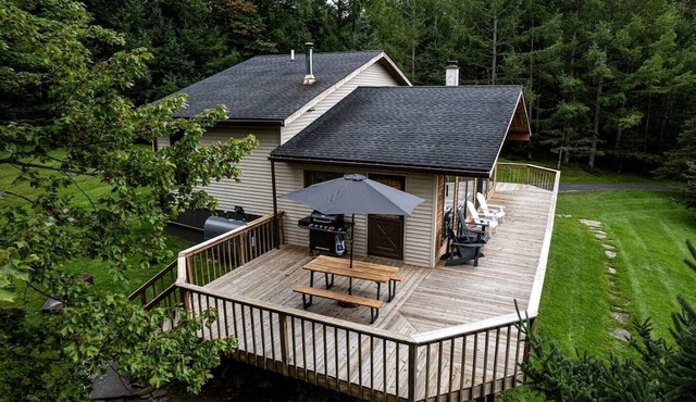 Cozy Cabin Retreat with Fire Pit, Sauna & Game Room in Franklin, New York