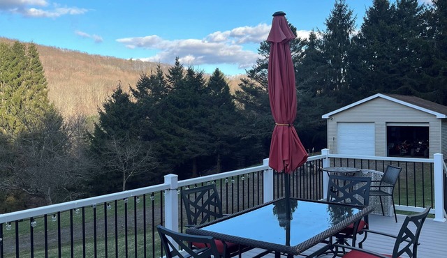 Cozy NEW 3-bedroom mobile home in brilliant Bloomville with AC on 50 acres.