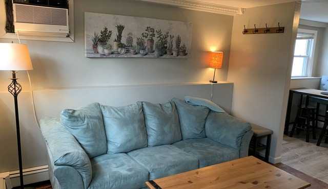 Cozy one bedroom