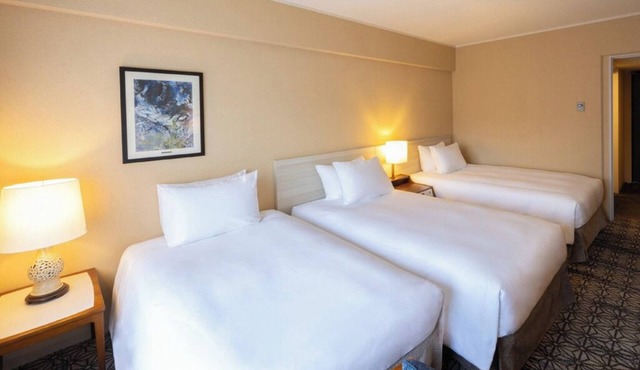 Deluxe Triple hotel with AC, WiFi, fitness room in lovely Minato City