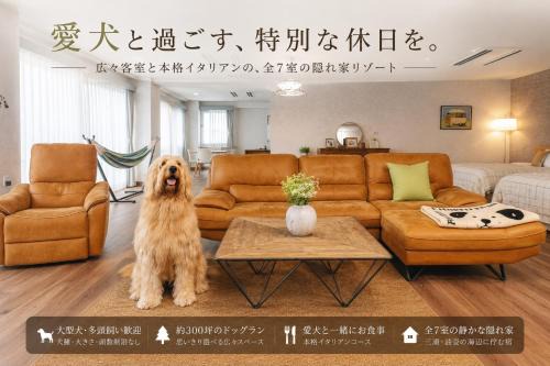 DokiDoggie油壺globe