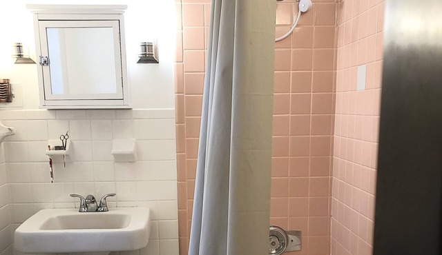 ext stay LUXURY Apt, 1st floor, Balcony, Sanctuary of the Swan